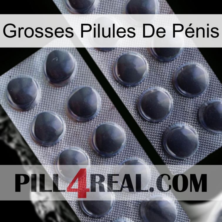 Grosses Pilules De Pénis 31